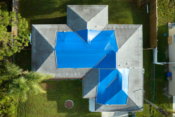 Best Asphalt Shingle Roofing  in Sharpsburg, PA